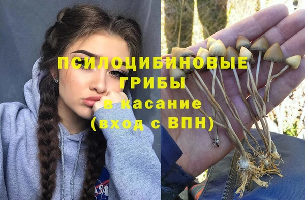 скорость Богданович